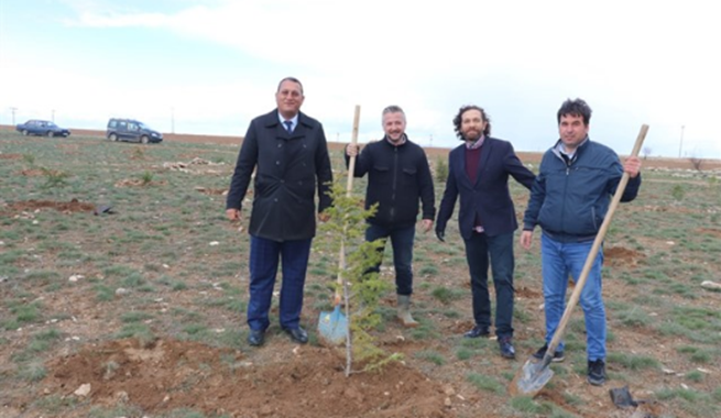 Ağaçlandırma Faaliyetlerimiz